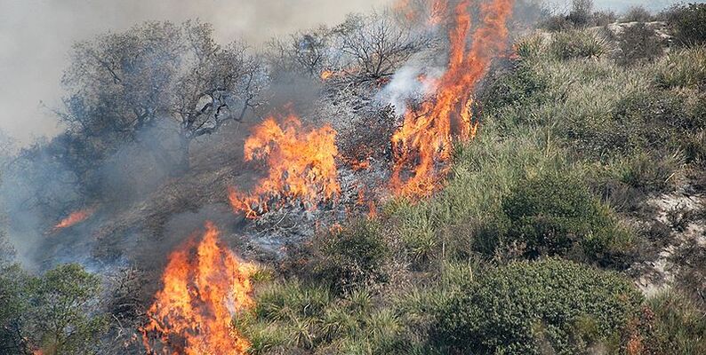 fire